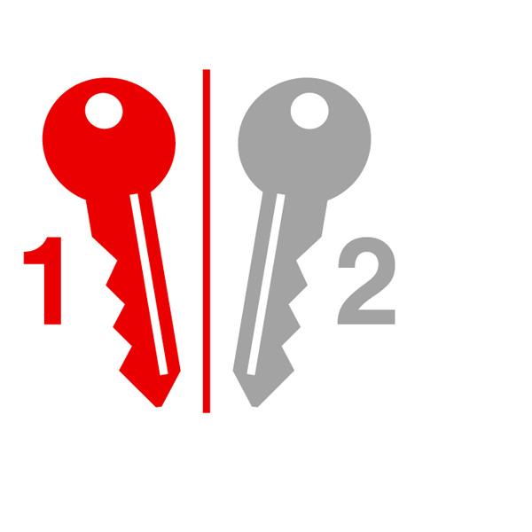 DOM TwinStar 2-in-1 System